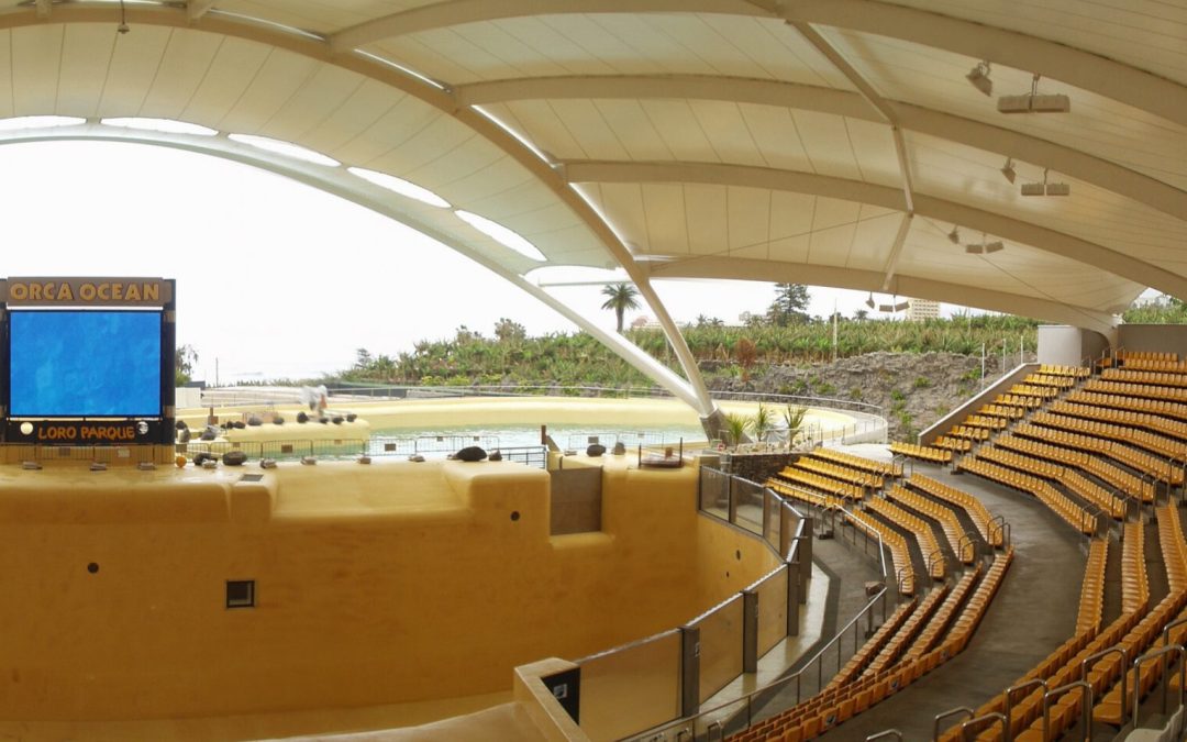 Instalación de las pantallas y sistema Audiovisual para el espectáculo de la orcas. Loro Parque